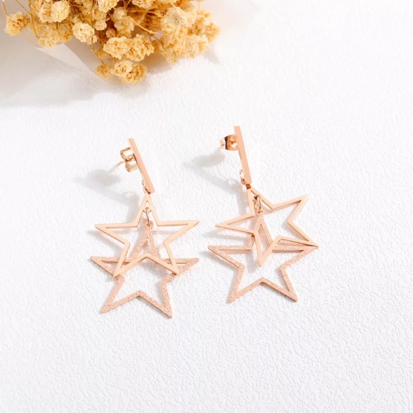 3/$30 Ros Gld Plated Stainless Steel Star Earrings - Picture 3 of 5